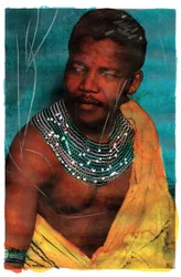 Porträt von Nelson Mandela, 2011