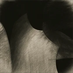 Fließende Sepia-Kurven