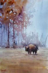 Bison im Herbstnebel