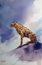 Gepard auf Felsen