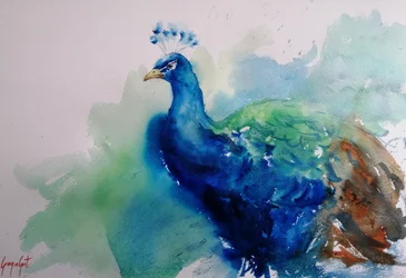 Eleganter blauer Pfau
