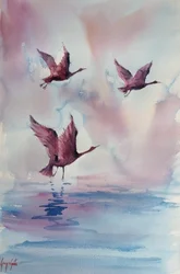 Anmutige rosa Vögel