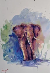Majestätischer Aquarell-Elefant