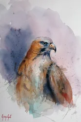 Majestätischer Aquarellfalke
