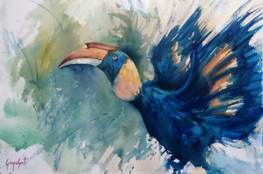 Tropischer Blauer Hornvogel