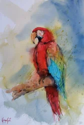 Lebhafter Roter Ara