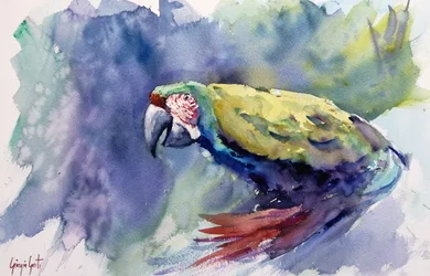 Lebendiger Aquarell-Ara