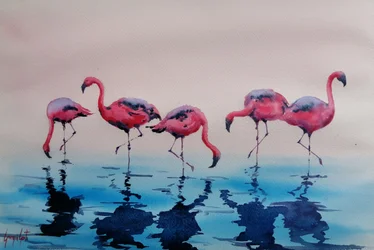 Watende Rosa Flamingos