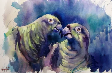 Aquarell Grüne Papageien