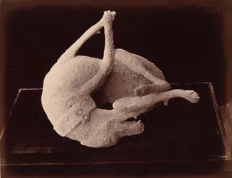 Abdruck, Pompeji