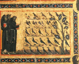 Geschichten des Heiligen Franziskus: Heiliger Franziskus predigt den Vögeln, Fresko von Giotto, ca. 1325. Bardi-Kapelle von Vernio, Basilika Santa Croce, Florenz, Italien