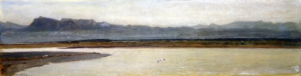 Mündung des Arno