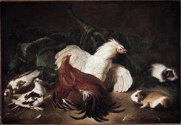Stillleben mit Tieren, Hühnern und Hamstern