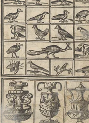 Essempio di recammi, Seite 12 recto, 1530