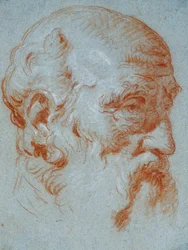 Studie der Büste von Giulio Contarini von links gesehen