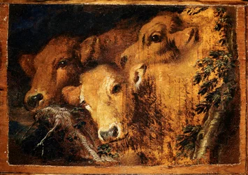 Drei Köpfe von Etude-Kälbern. Gemälde von Giovanni Benedetto Castiglione genannt il Grechetto (1610-1665) Sun. 24x35 cm Genua, Musei di Strada Nuova