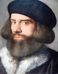 Kopf eines bärtigen Mannes, 1537