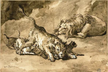Löwe, Löwin und Junge