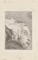 Profil eines alten Mannes, aus der Raccolta di Teste