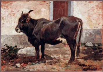 Braune Kuh