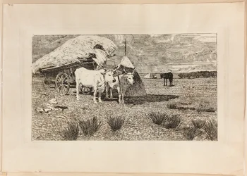 Ochsen und Wagen (Maremma)
