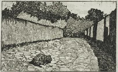 Kleine Straße am Stadtrand von Florenz mit Welpen