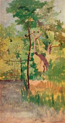 Baum und Waldweg