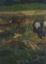 Toskanische Maremma (Detail)