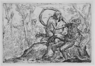 Die Häutung des Marsyas