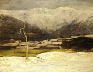 Landschaft von Savognino