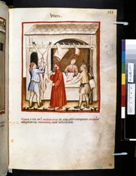 Theatrum sanitatis von Ububchasym de Baldach: 