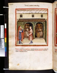 Theatrum sanitatis von Ububchasym de Baldach: 