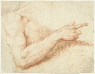 Studie eines Arms