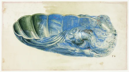 Blaue und grüne Muschel mit Drachenkopf