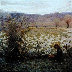Feld in Blüte (Öl auf Leinwand)