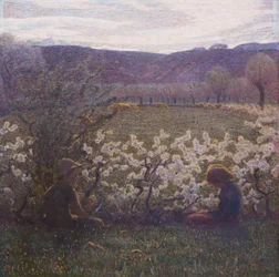 Blühende Wiese
