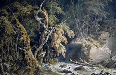 Felsige Landschaft mit entwurzelten Bäumen