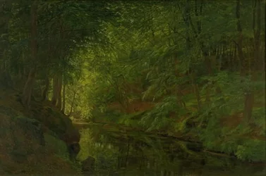 Ein Bach im Sæbygaard-Wald, Vendsyssel, Jütland