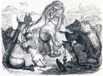 Die an der Pest erkrankten Tiere