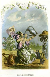 Illustration für 