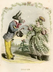 Illustration für 