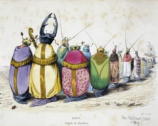 Prozession von Käfern in klerikaler Kleidung - Antiklerikale Karikatur von Granville aus „Die Metamorphosen des Tages“ 1829