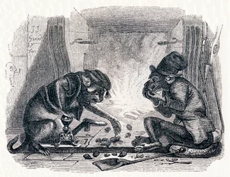 Der Esel und die Katze - Fabeln von La Fontaine