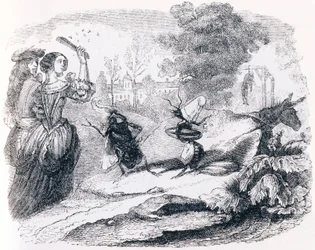 Die Fliege und die Ameise (La mouche et la fourmi) - Fabeln von La Fontaine