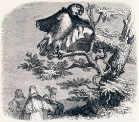 Die zwei Papageien, der König und sein Sohn - Fabeln von La Fontaine