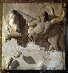 Herkules kämpft mit dem kretischen Stier, eine von zwölf Metopen, die die Arbeiten des Herkules aus dem Tempel des Zeus in Olympia darstellen, Frühklassische Periode, ca. 470-457 v. Chr. (Parischer Marmor)