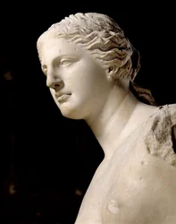 Venus von Milo (Detail des Kopfes)