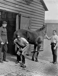 Der Hufschmied-Major der Royal Horse Guard