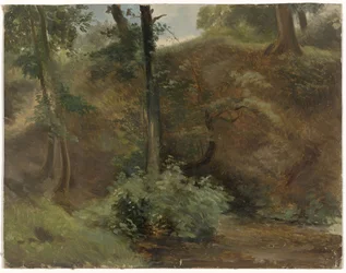 Bäume in einer Dünenlandschaft
