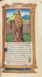Gedrucktes Stundenbuch Gebrauch von Rom: fol. 98r, St. Johannes der Täufer, 1510